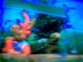 Sesame Street Biff S 40th Birthday Episode Number 3387 Part 3