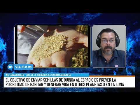 De Calingasta al espacio: semillas de quinoa serán enviadas en una misión de SpaceX