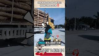 Download lagu A LARGE TRUCK LOADED WITH TIMBER WAS STOPPED BY THE TEACHER WHILE RUNNING #shorts mp3 Download lagu A LARGE TRUCK LOADED WITH TIMBER WAS STOPPED BY THE TEACHER WHILE RUNNING #shorts mp3