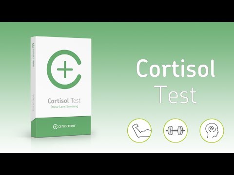 Der Cortisol Test