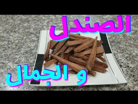 download lagu mp3 mp4 صندل, download lagu صندل gratis, unduh video klip Download صندل Mp3 dan Mp4 Free All Gratis