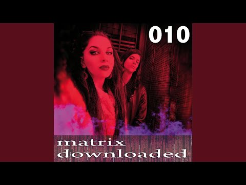 The Shortwaves (Flood Veyor Mass Propaganda Mix)