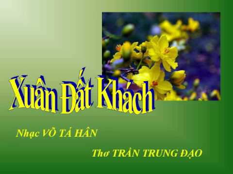 Xuân đất khách - Hoàng Quân