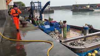 漁港買魚紀錄2025年5月3日星期六⛅️🌧️⛅️