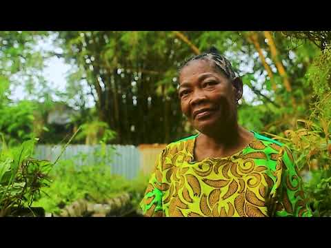 Atrato Biocultural: El Secreto de las Azoteas y Plantas del Chocó