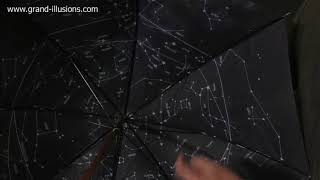 Tim’s music umbrella
