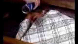 Shaving Cream on Melvin