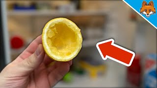 Put Lemon Peel in your Fridge and you´ll THANK ME FOREVER💥(Genius)🤯