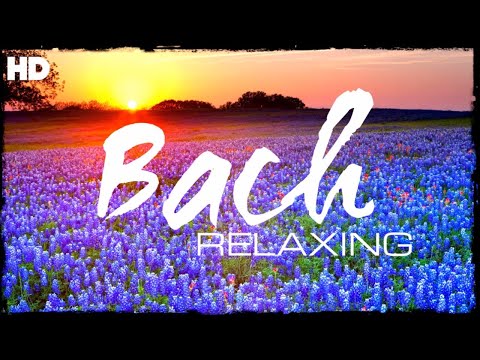 The Best Relaxing Classical Music Ever By Bach - Relaxation Meditation Focus Reading
