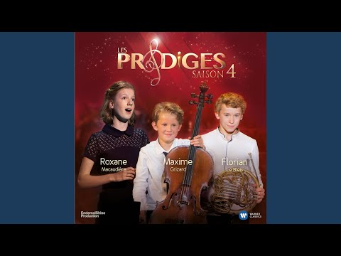 Suite: I've Got Plenty O'Nuttin' / Summertime / I Got Rhythm (Orch. Bouchard)