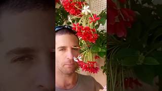 הכירו את המטפס הכי שווה בעולם