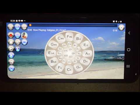 Musical Steel Drums Pro