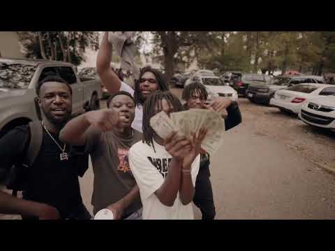 Wildlife Jay - Purple Distributor