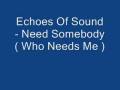 Echoes Of Sound - Need Somebody ( Who Needs ...