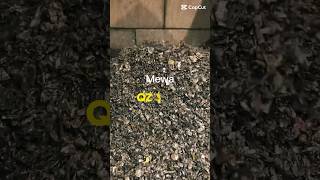 بيع معدات أخرى لإعادة التدوير MeWa UNI-CUT QZ 1600 (nie THM, ANDRITZ) - صورة 4 | Machineryline MA معدات أخرى لإعادة التدوير MeWa UNI-CUT QZ 1600 (nie THM, ANDRITZ) | صورة 4 - Machineryline