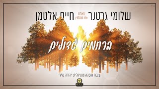Shloime Gertner & Chaim Altman - Berachamim Gedoilim | שלומי גרטנר & חיים אלטמן - ברחמים גדולים