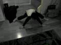 Spider Push Ups