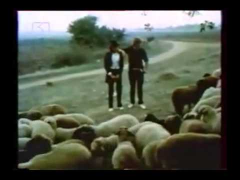 ПЕСЕН ЗА БЪЛГАРКАТА