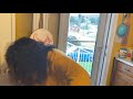 Spaghetti Crunch Back Crack Challenge
