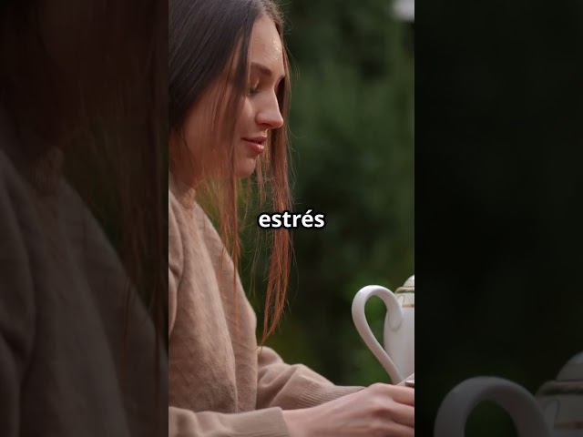 Vídeo relacionado con Bolsitas de Té Premium de Romero, 100 Bolsitas de Té. Elaborado con Hojas de Romero 100 % Puras y Naturales, sin aditivos y sin cafeína.