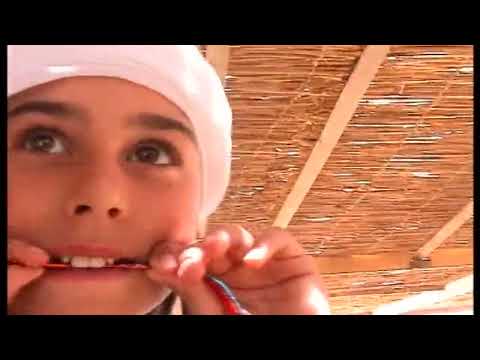 Golan Zocher & Choopie - Camel Steps