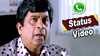 WhatsApp Status Video - Superb Comedy - 2017 Latest Videos