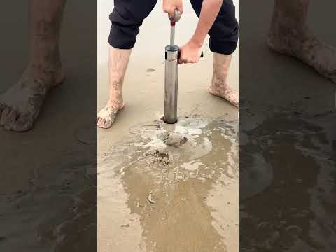 Catching mantis shrimp this way is so easy! #OutdoorSeafoodCatching #SeafoodCatchingVideo