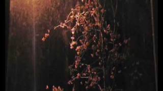 AFTER CRYING Hungarian Avant psych prog