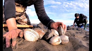 How to Dig for Clams During Low Tide