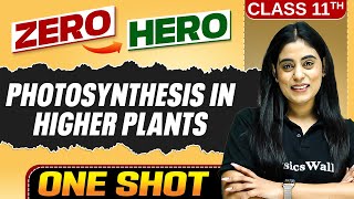 Photosynthesis in Higher Plants | Full Chapter in ONE SHOT | Chapter 11 | Class 11 Biology