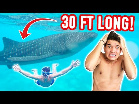 Swam In The Ocean w/ 30 FT LONG FISH! *SCARY*