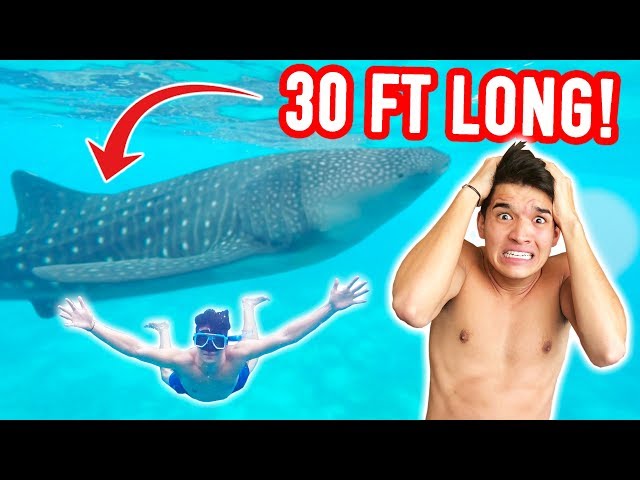 Swam In The Ocean w/ 30 FT LONG FISH! *SCARY*