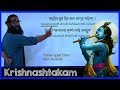 8 Powerful Shlokas On Krishna Krishnashtakam Uninterrupted Chant Krishnam Vande Jagadgurum