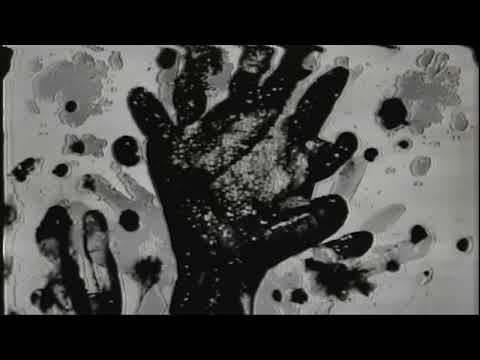 Video thumbnail for COME TOGETHER