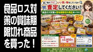 【買い物のプロ？】食品ロス対策の賞味期限切れ商品を買ってきた！サンディと謎の店