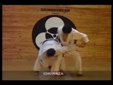 SHINSHINKAN ISSHIN RYU KARATE  - CHO WAZA ( STREET SELF DEFENSE )