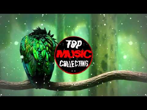 [BOUNCE] GeRisZ - Bounce Bass (Original Mix)