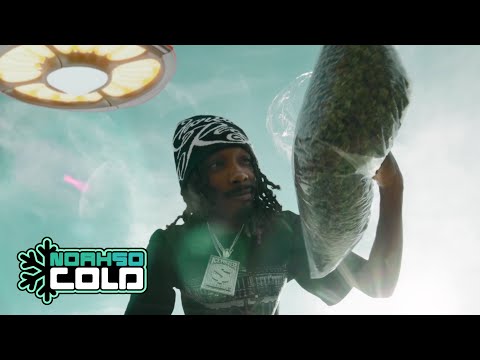 Diego Money - Old Diego Freestyle [dir. by @noahsocold]