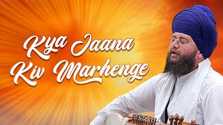 Kya Jaana Kiv Marhege l Bhai Pavan Singh Ji Rababi