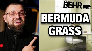 This Paint Color is a MUST-TRY! (Behr Paint Color Review)