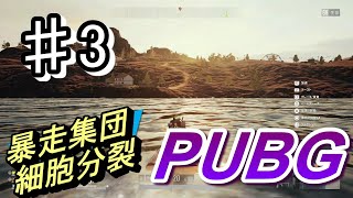 #3ショーグンとアーチャーの「PLAYERUNKNOWN'S BATTLEGROUNDS(PUBG)」