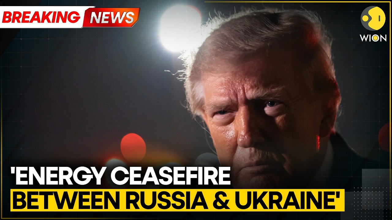 Trump Says Ukraine and Russia Have Agreed 'Energy Ceasefire' | WION BREAKING