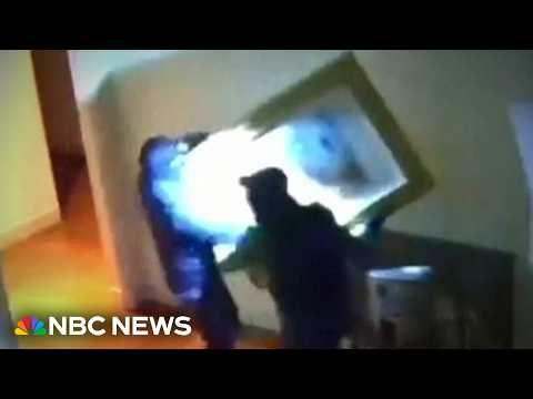 Surveillance video shows brazen art heist