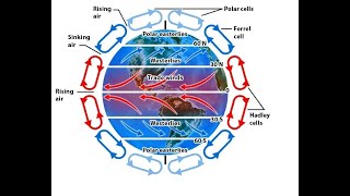 Convection Currents, Heating and Global Winds. A Full Video Lesson on what Drives Weather. 6.E.2B.3
