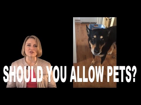 Should You Allow Pets in Your Rental Property?