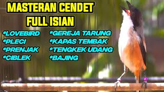 Download lagu PANCINGAN CENDET FULL ISIAN LOVEBIRD TENGKEK GEREJA TARUNG PRENJAK CIBLEK KAPAS TEMBAK PLECI BAJING mp3 Download lagu PANCINGAN CENDET FULL ISIAN LOVEBIRD TENGKEK GEREJA TARUNG PRENJAK CIBLEK KAPAS TEMBAK PLECI BAJING mp3