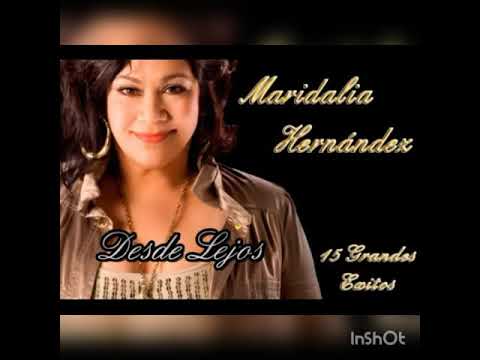 Desde Lejos - Maridalia Hernández