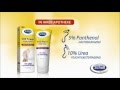 Scholl SOS Repair