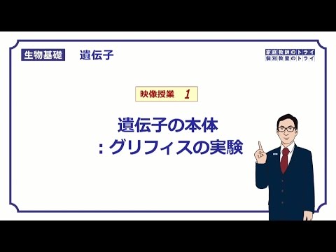 トロピドフィスについて詳しく解説