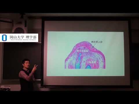 高校生向け講義　佐藤　伸　理学部 生物学科　准教授